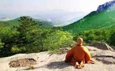 在修行境界上，四禅八定的禅与禅宗的禅有何差异？